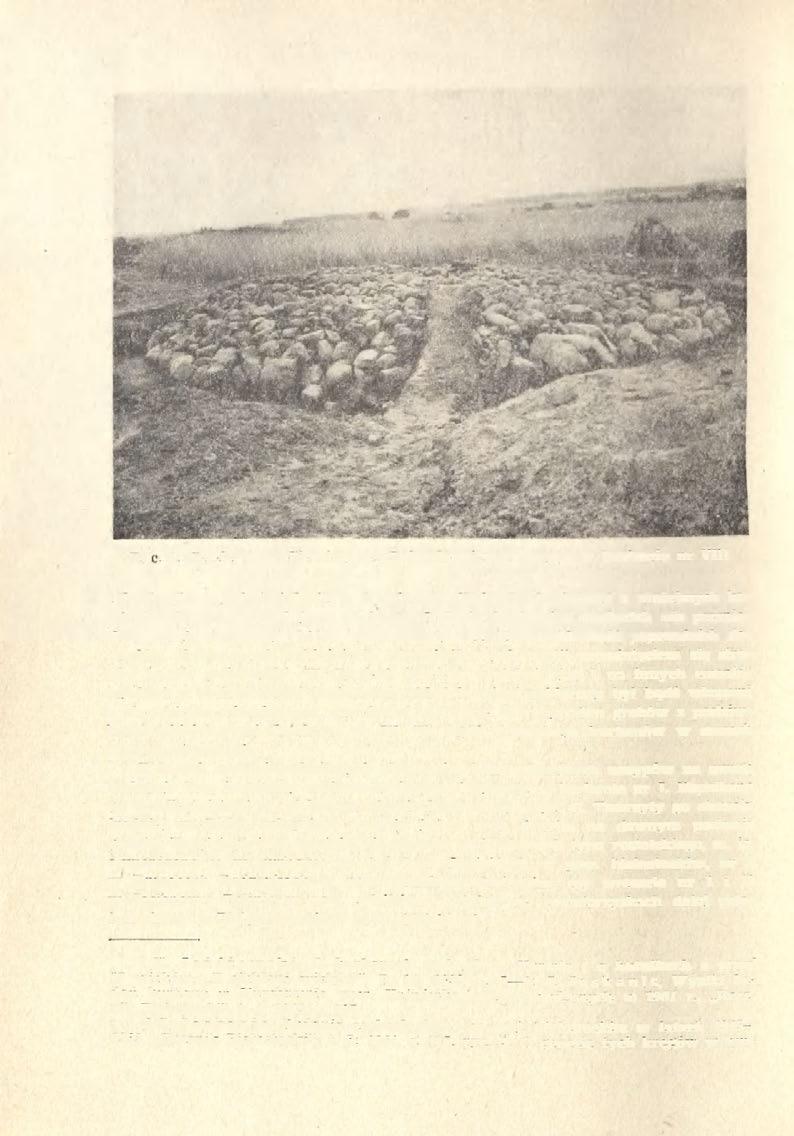 86 JAN JASKANIS Ryc. 3. Cecele, pow. Siemiatycze.