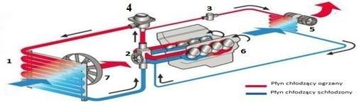 Zadanie 24. Na przedstawionym schemacie układu chłodzenia pojazdu element oznaczony cyfrą 4 to Zadanie 25. termostat. czujnik temperatury. zbiornik wyrównawczy.. pompa cieczy chłodzącej.