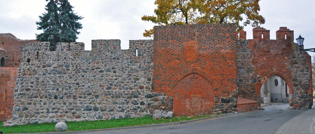 246 Bogusz Wasik Ryc. 8. Toruń.