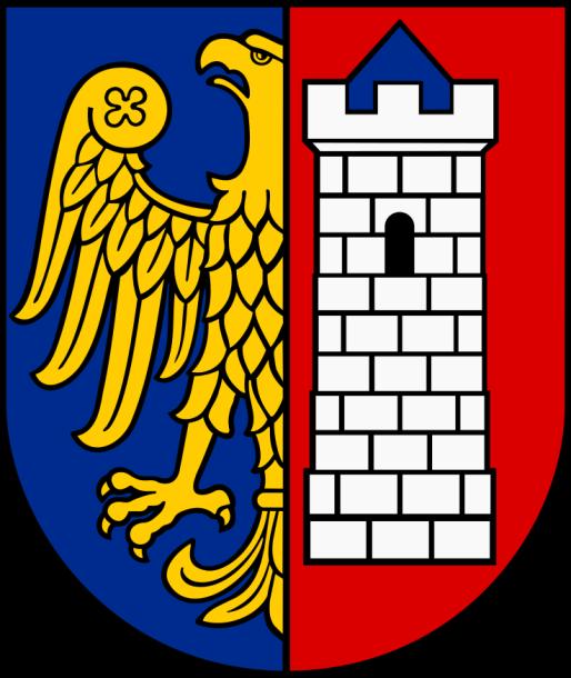 AUDYT ENERGETYCZNY SYSTEMU OŚWIETLENIA ULIC I DRÓG MIASTA GLIWICE (dotyczy wybranych ulic miasta) Wykonał zespół w składzie: mgr inż. Jarosław Filas inż. Jacek Piotrowski mgr inż.