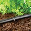 Dłuższe żywopłoty Rura o średnicy 13 mm (½") nadaje się do nawadniania, np. żywopłotów i obrzeży obsadzonych roślinami.