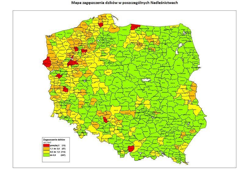 Zagęszczenie dzików Odstrzał sanitarny dzików wzdłuż autostrady A2 (w grudniu 2017r odstrzelono sanitarnie 446 szt. dzików. Odstrzał będzie kontynuowany do 31.03.2018r).