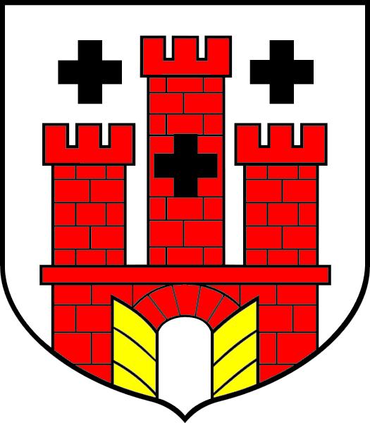 SPRAWOZDANIE ROCZNE Z WYKONANIA
