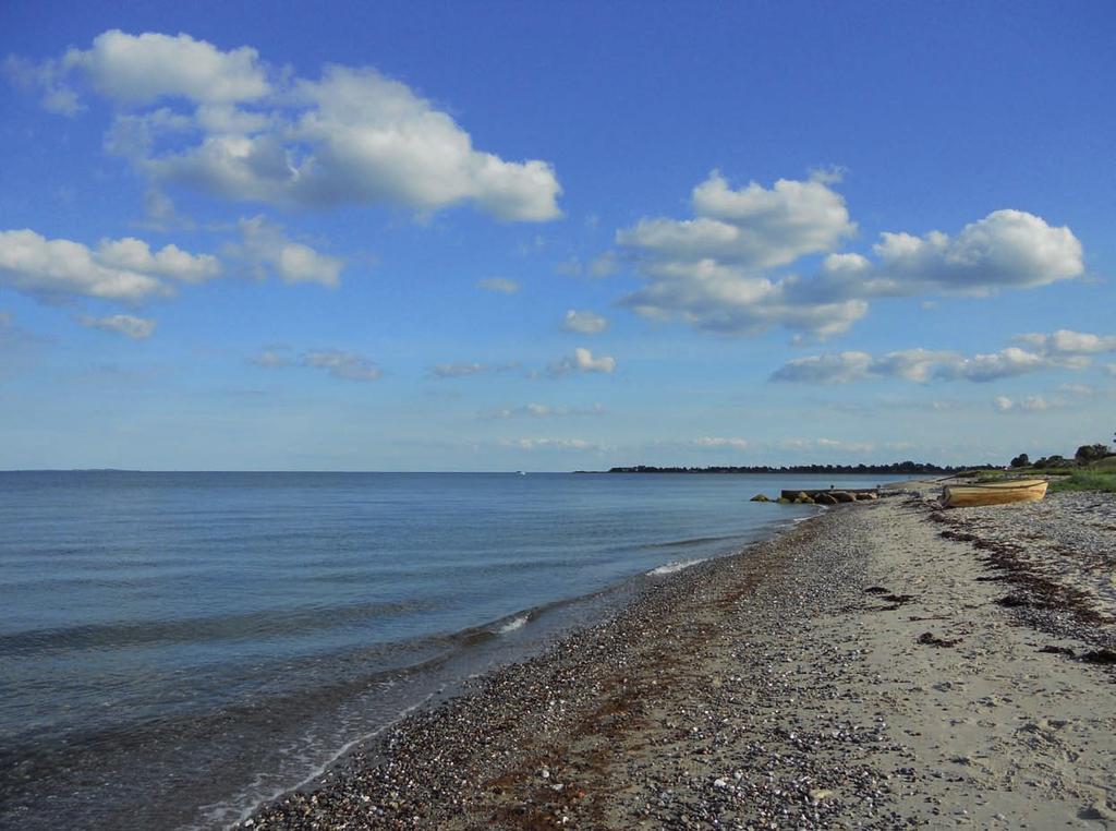 sesje terenowe sesja 1: PROBLEMY HYDROGEOLOGICZNE MORSKIEJ STREFY BRZEGOWEJ Machowinko k.