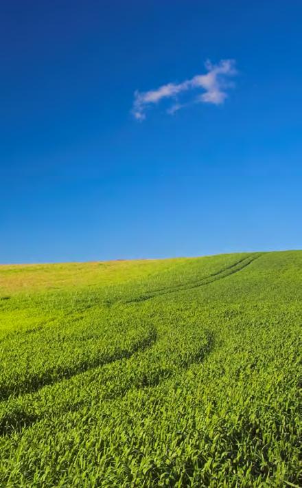 to najlepszy wybór Rozpowszechnianie płatne top argar Polska wg województw 50 000 NAKŁAD ROZPOWSZECHNIANIE PŁATNE TOP AGRAR POLSKA 50 000 39 463 FARMER 17 000 17 000 4 880 ROLNICZY PRZEGLĄD