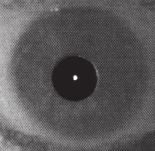 2015,