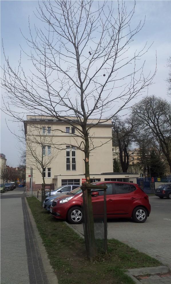 Przykład