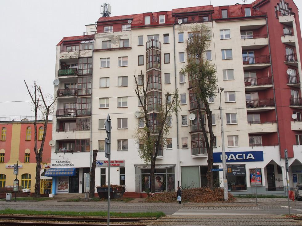 Przykłady nieprawidłowej pielęgnacji drzew we