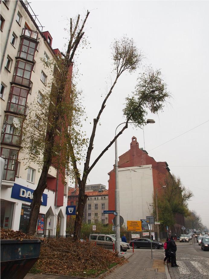 Sienkiewicza; teren spółdzielni mieszkaniowej; zarząd