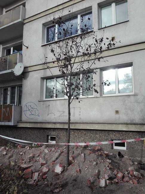 prace techniczne przy ul.