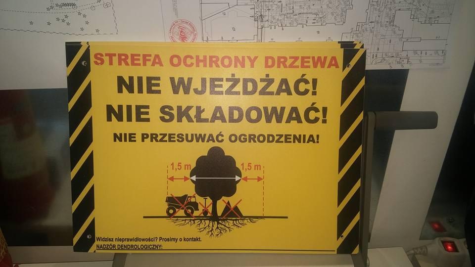 Dobry przykład ochrony drzewa na placu budowy