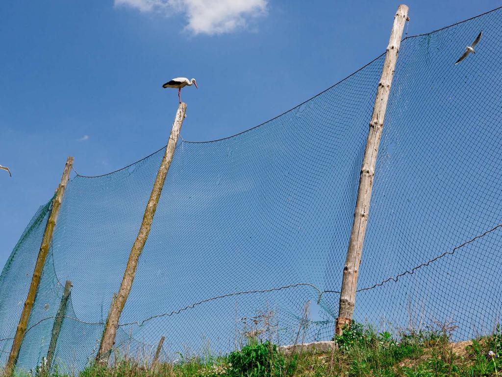 Zarządzanie ochroną środowiska / Transparentność i współpraca ze stroną społeczną Zarządzanie ochroną środowiska / Transparentność i współpraca ze stroną społeczną Transparentność i współpraca ze