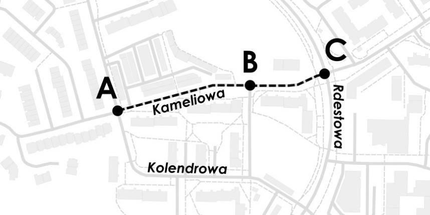 I. KAMELIOWA (od Rdestowej do Imbirowej/Kolendrowej) Jeśli nie jest Pan/i zainteresowany/a tym obszarem, proszę przejść na kolejną stronę. 1.