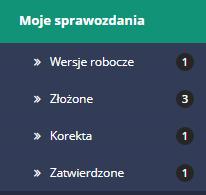 2.2.3 Sprawozdania Po kliknięciu w przycisk Sprawozdania, po lewej stronie ekranu w menu bocznym pojawią się dostępne dla użytkownika opcje.