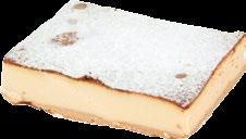 19 99 16 99 SERNIK PUSZYSTY