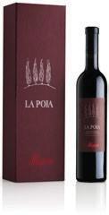 00 ZŁ ALLEGRINI amarone magnum 1.