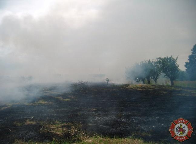 07. Pożar trawy