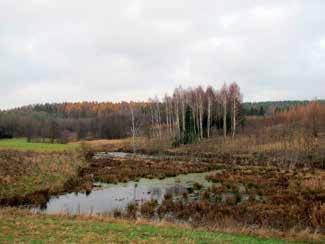 W listopadowym, nostalgicznym, szarym pejzażu widoczny jest wał kamienno- ziemny otaczający majdan o wymiarach 70 m x 40 m.
