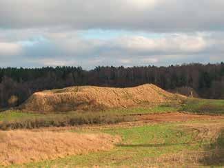 Wszechświat, t. 116, nr 1 3/2015 OBRAZKI 81 Ryc. 6. Grodzisko w całej okazałości. Fot. M. Olszowska.