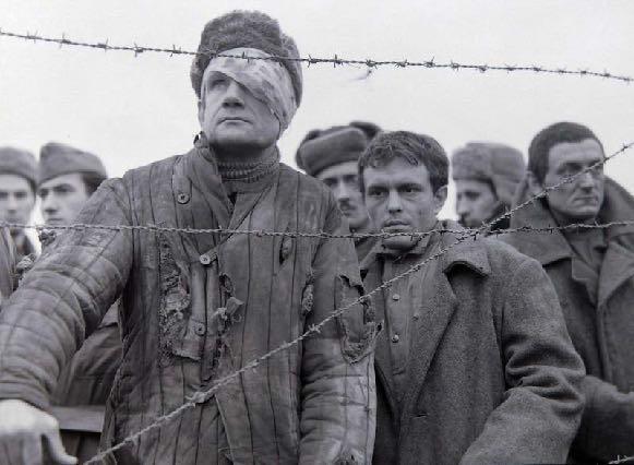 43 Wykład: NURT PLEBEJSKI dr Bartosz Filip Filmy: ŚWIADECTWO URODZENIA, 1961