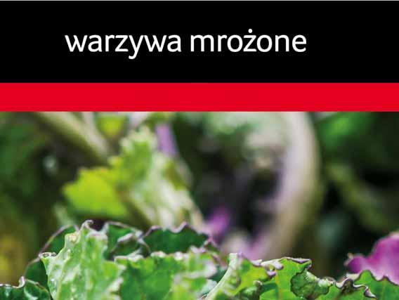 gastronomii SZPINAK