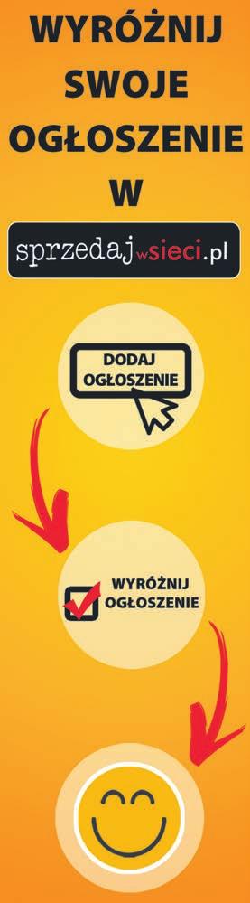 Zielonogórski Falubaz po stracie Hampela ruszył na zakupy, ale nie sprowadził głośnych nazwisk.
