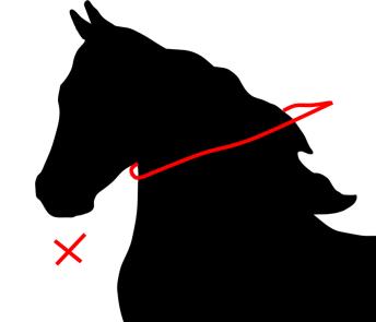 IV. Wymagania: 1. Zawodnicy: 1.1 Dokumenty: - zobowiązani są do posiadania aktualnych badań lekarskich poświadczających o braku przeciwwskazań do startu w zawodach.
