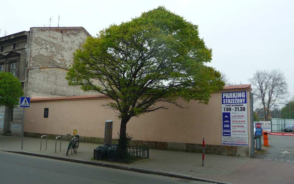 52 Fot. nr 87.