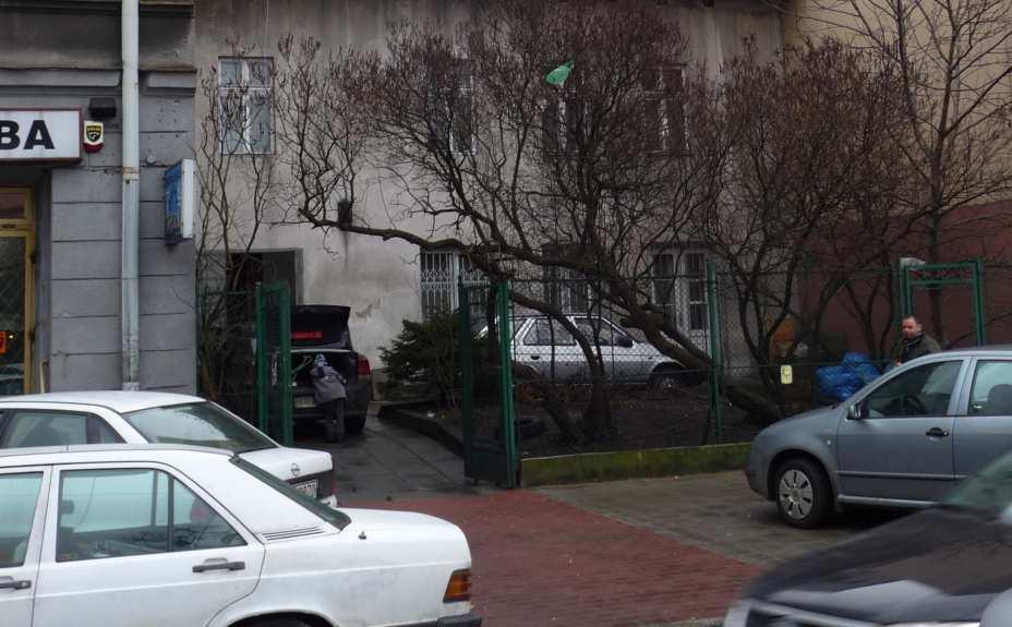 (wraz z charakterystycznym ogródkiem na