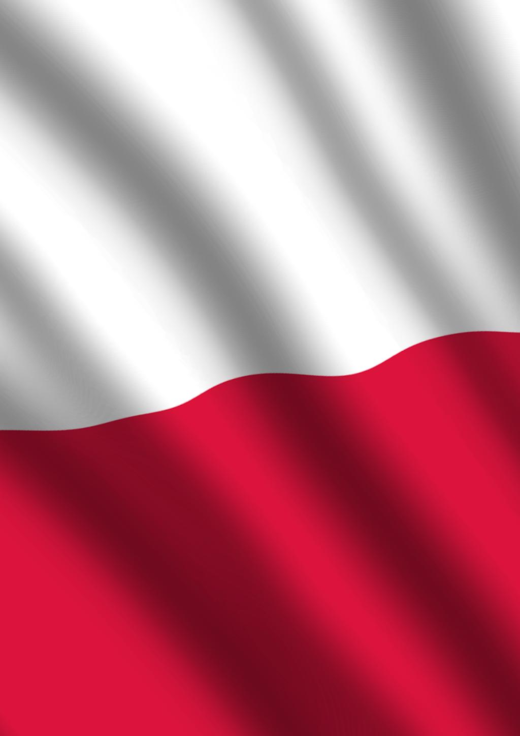 XI Polski Top