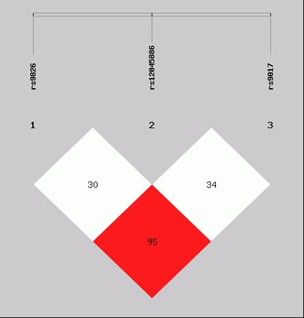 Rycina 1. Nierównowaga sprzężeń pomiędzy SNPs genu RORc2.