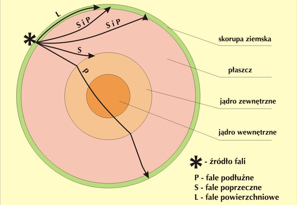 Fale sejsmiczne wzbudzane są w wyniku trzęsień ziemi (lub sztucznie przez człowieka), powstaje zaburzenie równowagi Ziemi, która zachowuje się jak ciało sprężyste, skutkiem jest powstanie i