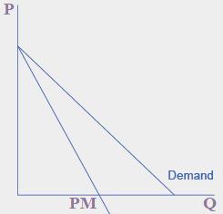 Krzywa popytu mikro w teorii Krzywa przychodu marginalnego PM przebiega