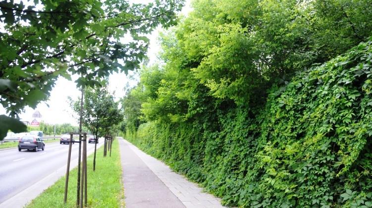 Kontrole pojazdów i niezbędne pomiary powinny być wykonywane zgodnie z Rozporządzeniem Ministra Transportu, Budownictwa i Gospodarki Morskiej z dnia 26 czerwca 2012 r.