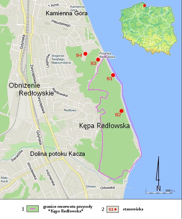 Przegląd Przyrodniczy XXVIII, 3 (2017) nej, podciętej przez fale od strony morza i oddzielone pradoliną od wysoczyzn morenowych, które rozciągają się w głębi lądu.