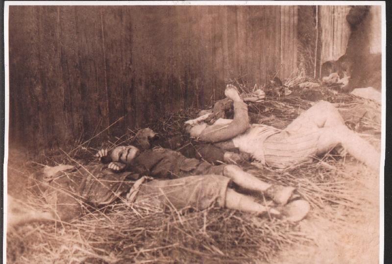 ludności oddanie kontyngentu. Niemcy eksterminowali również ziemiaństwo, np. w dystrykcie radomskim zamordowali 163 osoby. Ogółem z rąk niemieckich według najnowszych ustaleń zginęło ponad 2,7 mln.
