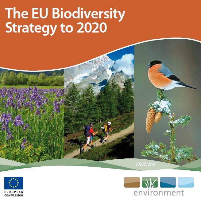 Strategia Różnorodności Biologicznej UE 2011-2020 przyjęta przez Komisję Europejską 3 maja 2011 Cel 1: Pełna implementacja Dyrektyw Ptasiej i Habitatowej Działanie 3: Wzrost świadomości