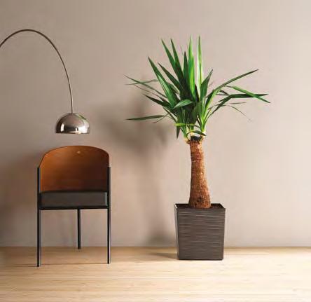design odporna na zarysowania scratch resistant dedykowany system nawadniający