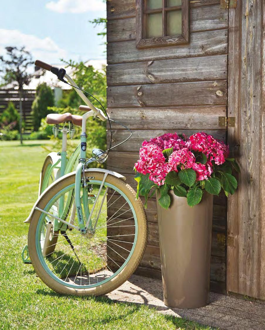 new! 04 0 6 74 82 83 84 27 44 SYSTEM NAWADNIAJĄCY WATERING SYSTEM 36 46 49 683 684 68» 77 donica i wygodny wkład planter and easy
