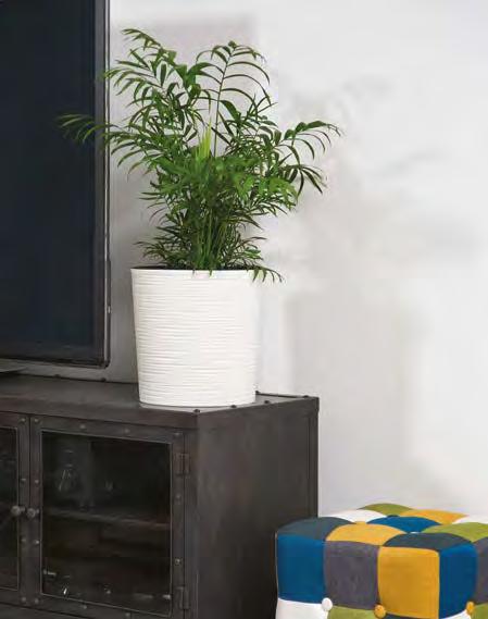 04 0 0 6 74 83 84 SYSTEM NAWADNIAJĄCY WATERING SYSTEM 722 723 683 684» 77