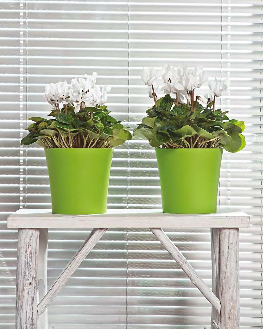 FIOŁEK Blumentopf / Pot de fleurs / Кашпо 384 0 9 01 03 39 4 80 38 1 2 386 12 116 387 14 134 388 16 13 389 190 176 01 03 39 4 80 81 PODSTAWKA SAUCER 38 386 387 388 389 602 603 604 60 606» 76 piękny,