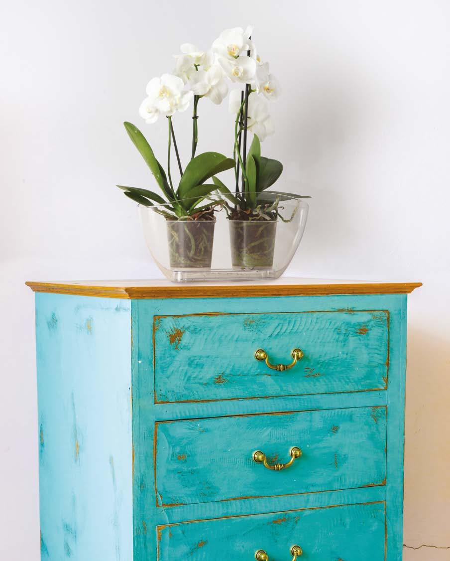 only for orchids idealna do zioł i kompozycji kwiatowych ideal also for herbs and