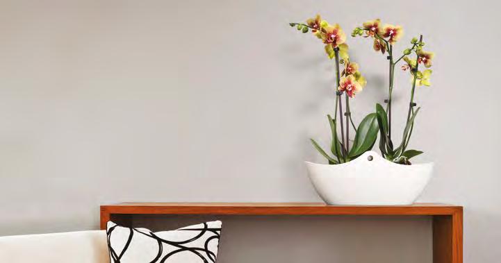 WENA Blumentopf / Pot de fleurs / Кашпо 634 30 x x 160 0 74 80