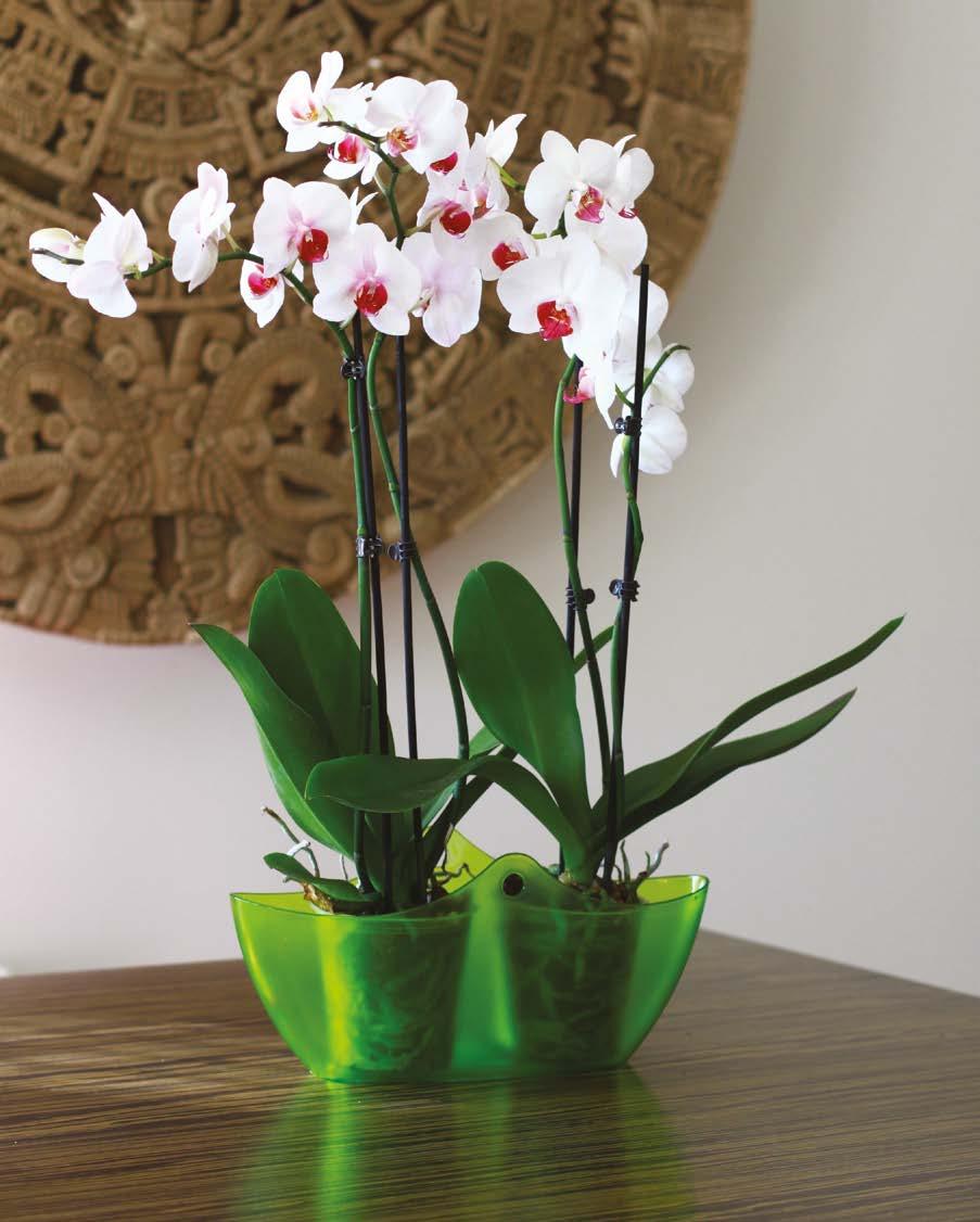 flower arrangements niespotykany design unique design DOM I