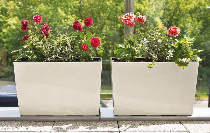 WERBENA FLOWER BOX Blumenkasten / Balconière / Цветник WERBENA DŁUTO FLOWER BOX Blumenkasten / Balconière / Цветник 64 190 x 60 x 36 new!