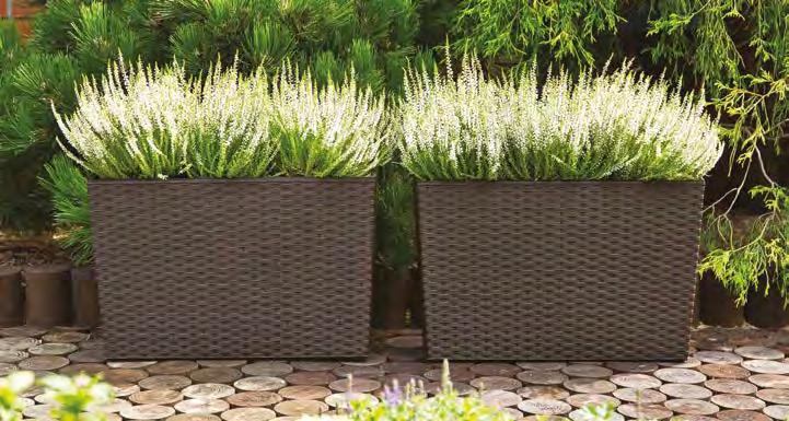 ogrodowych suit for garden furniture dedykowany system nawadniający dedicated watering system odporny na