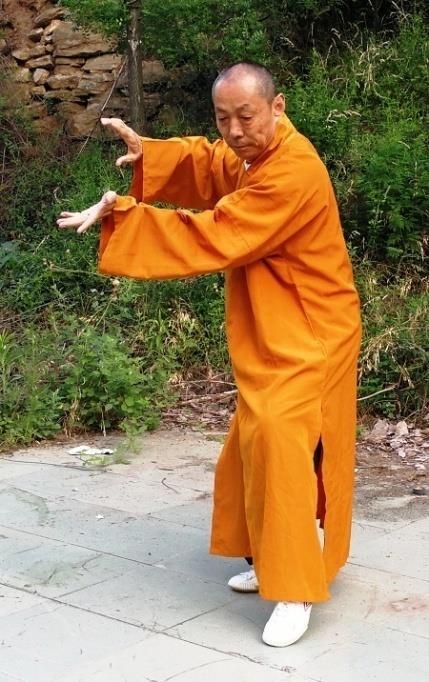 9 Fot. 21 Fot. 22 Fot. 23 Fot. 12 23. Shi Sugang sifu prezentujący ćwiczenia Tian Di Fo wykonywane chodząc (fot. Guo Yin He, Chiny 2017) Na fot.