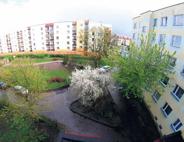 maj 2017 naszesprawy@toruntv.pl 3 PORADY Jak wygrać z trudnym sąsiadem Potrafi on być prawdziwym skarbem, ale potrafi też skutecznie uprzykrzyć życie. Czy jest na to jakaś rada, czy jesteśmy bezsilni?