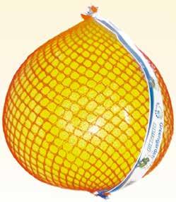 MAKARON SOTELLI