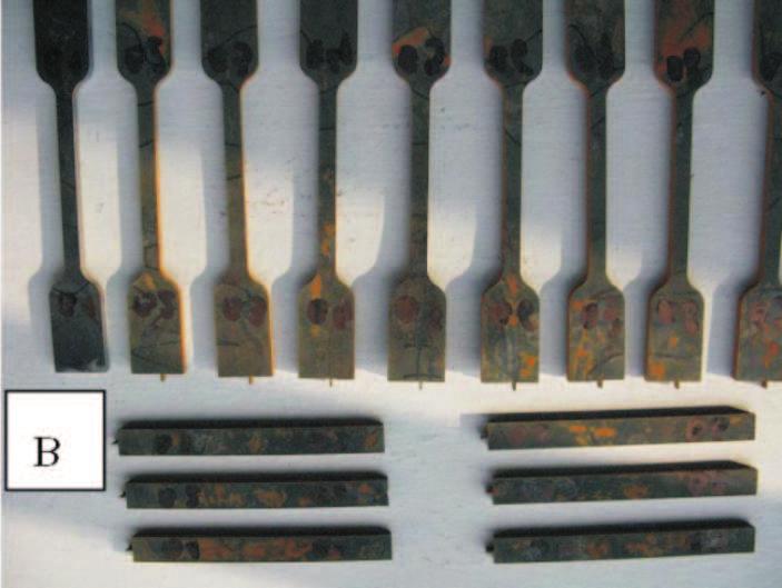 wyniki badañ mechanicznych próbek blachy ze stali w zale noœci od miejsca wyciêcia. Próbki wyciêto wzd³u kierunku walcowania i pod k¹tem 90 do kierunku w p³aszczyÿnie walcowania.